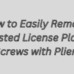 How to Easily Remove Rusted License Plate Screws with Pliers