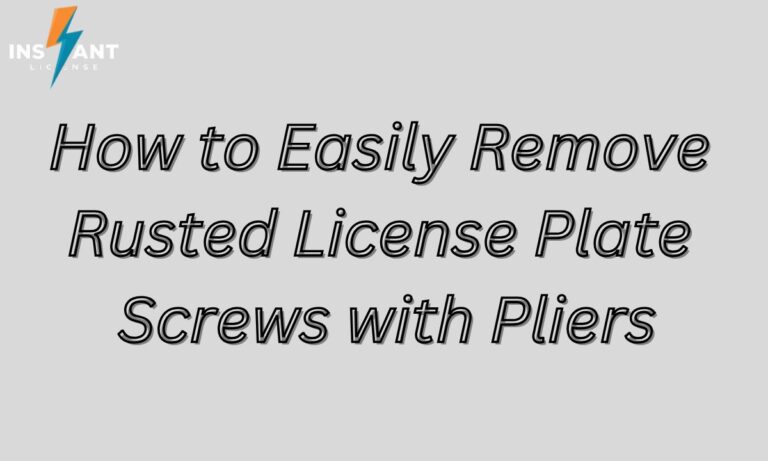 How to Easily Remove Rusted License Plate Screws with Pliers