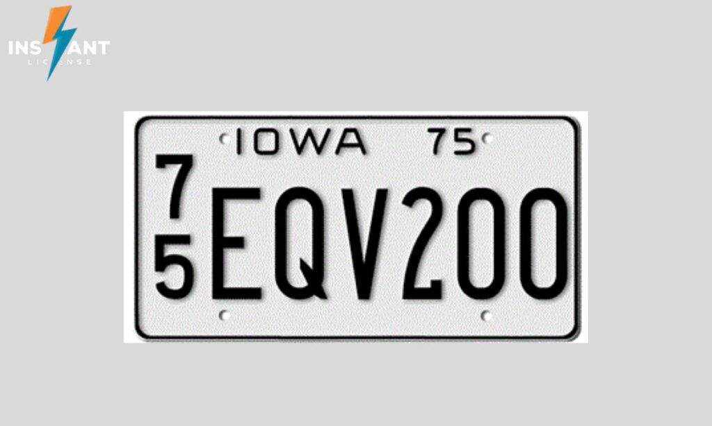 What Can Someone Do with Your License Plate Number